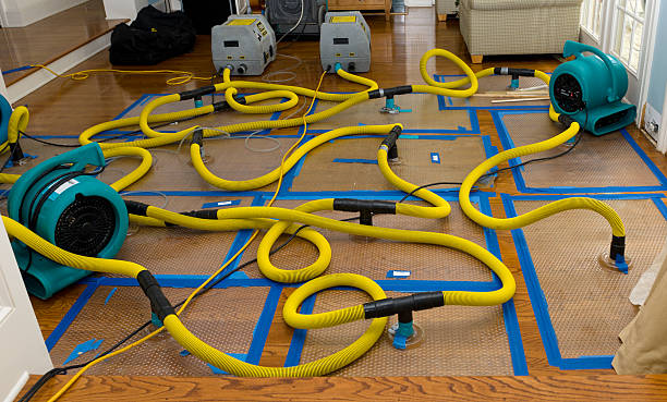 Professional Structural Drying And Dehumidification technician working in Good Thunder, MN